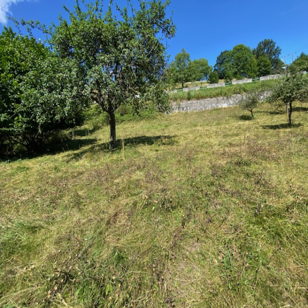 Offres de vente Terrain Soultzeren 68140