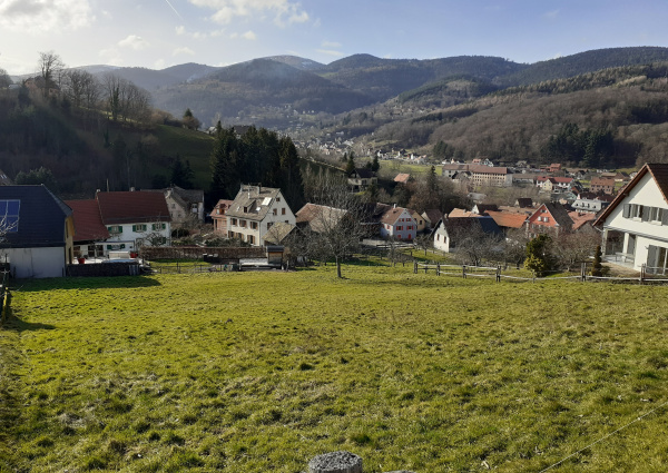 Offres de vente Terrain Breitenbach-Haut-Rhin 68380